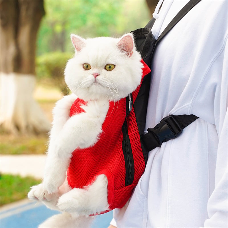 Pet Backpack Leg-Out Ventilated Safety Locks