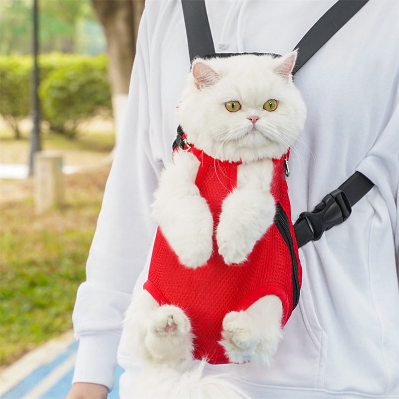 Pet Backpack Leg-Out Ventilated Safety Locks