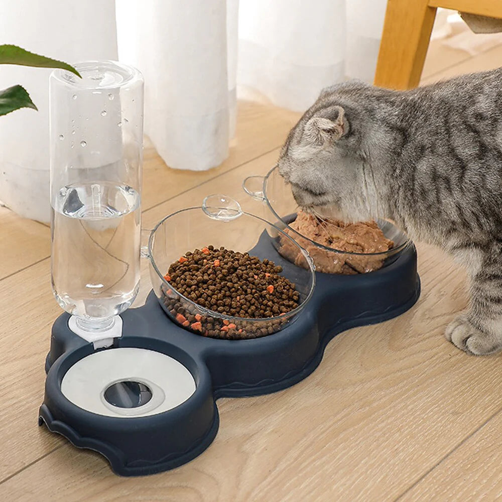 Pet Feeding Station 3-in-1 Glass Bowls & Auto Dispenser