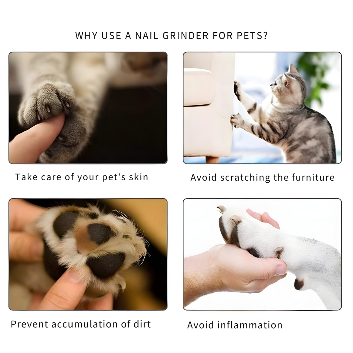 Pet Nail Grinder Whisper-Quiet USB Rechargeable 3 Attachments