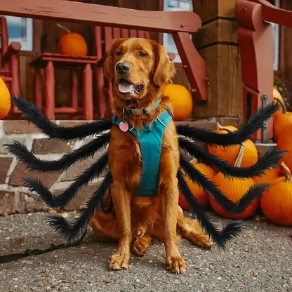 Pet Spider Costume Eight Attached Legs Adjustable Straps Lightweight Fabric