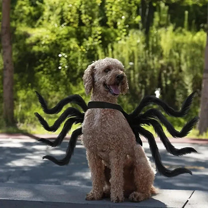 Pet Spider Costume Eight Attached Legs Adjustable Straps Lightweight Fabric