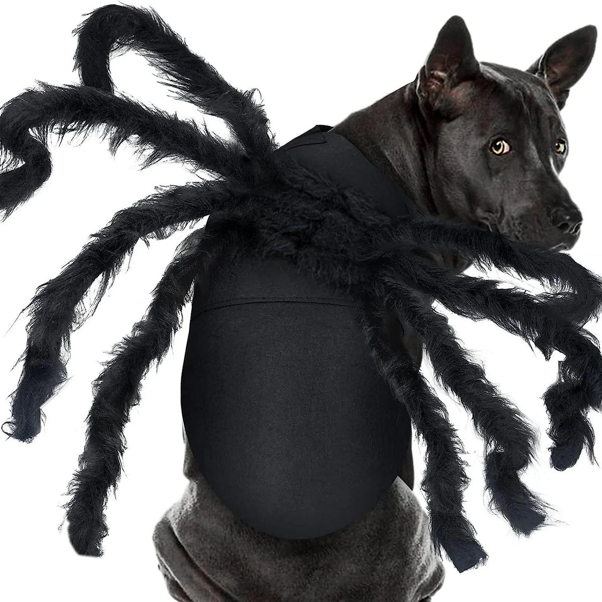 Pet Spider Costume Eight Plush Legs Adjustable Velcro