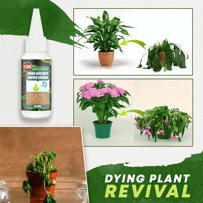 Plant Fertilizer Amino Acid Formula 30ml