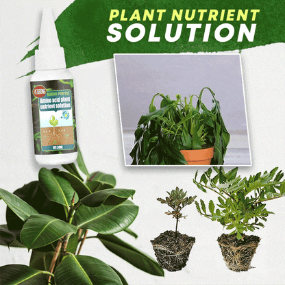 Plant Fertilizer Amino Acid Formula 30ml