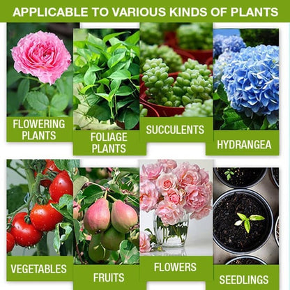 Plant Fertilizer Amino Acid Formula 30ml