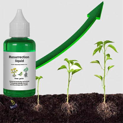 Plant & Flower Activator Root Strengthening Bloom Boost