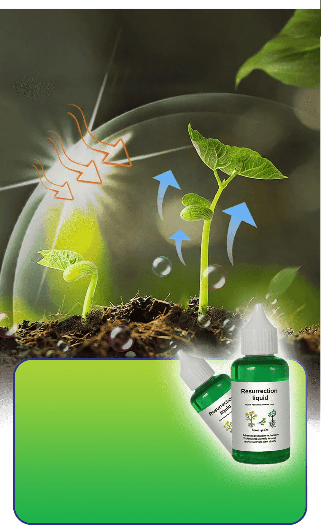 Plant & Flower Activator Root Strengthening Bloom Boost