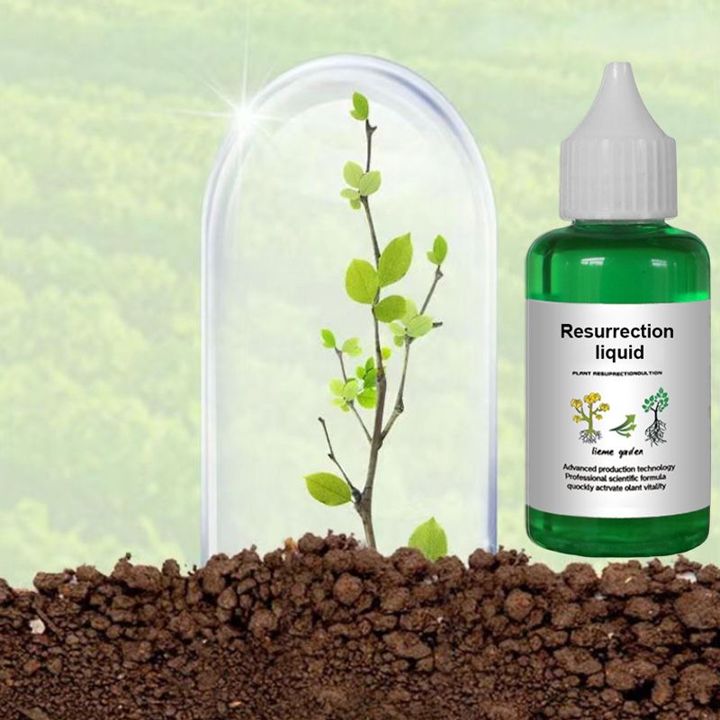 Plant & Flower Activator Root Strengthening Bloom Boost