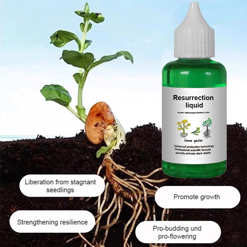 Plant & Flower Activator Root Strengthening Bloom Boost