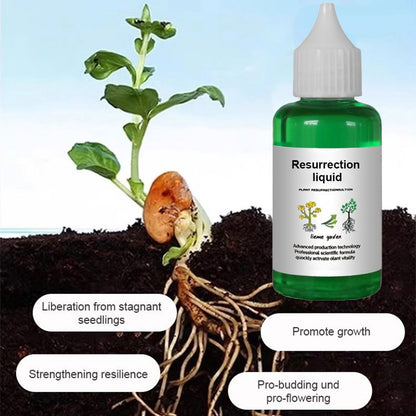 Plant & Flower Activator Root Strengthening Bloom Boost