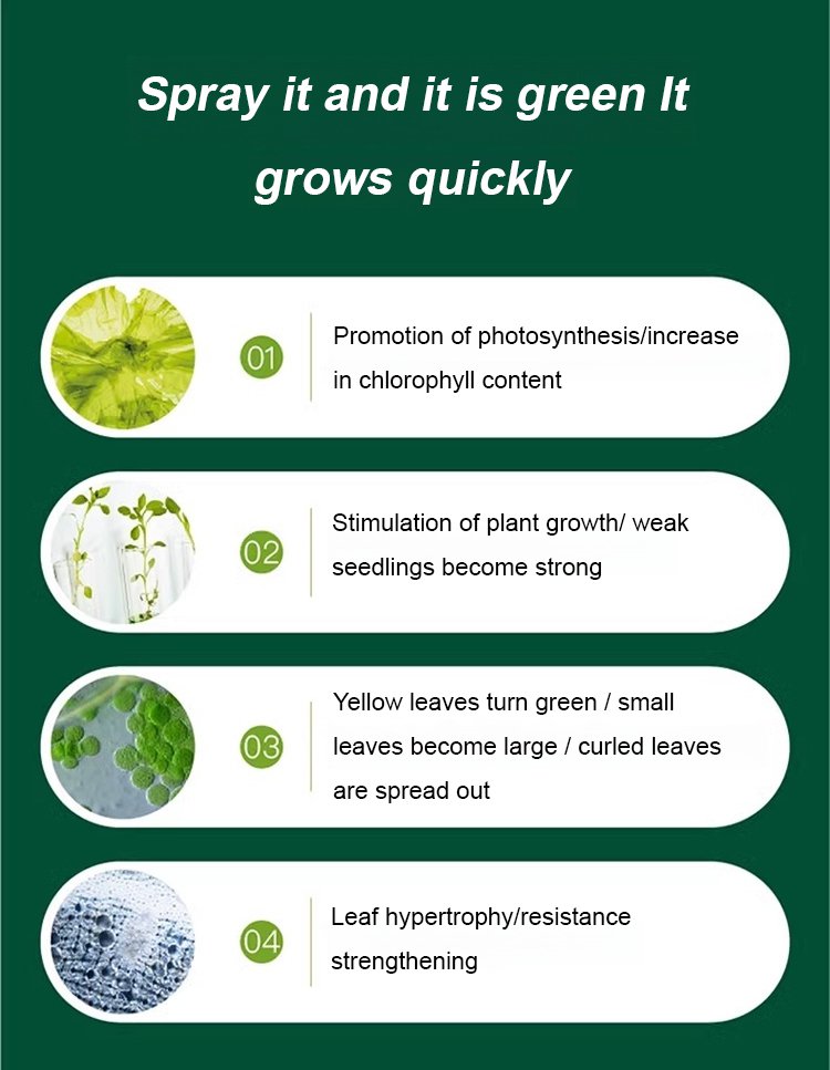 Plant & Flower Activator Root Strengthening Bloom Boost