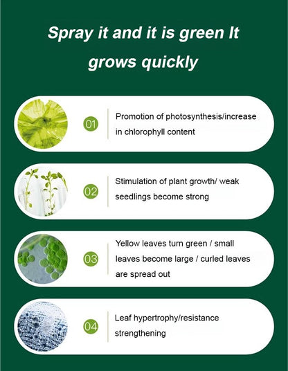 Plant & Flower Activator Root Strengthening Bloom Boost
