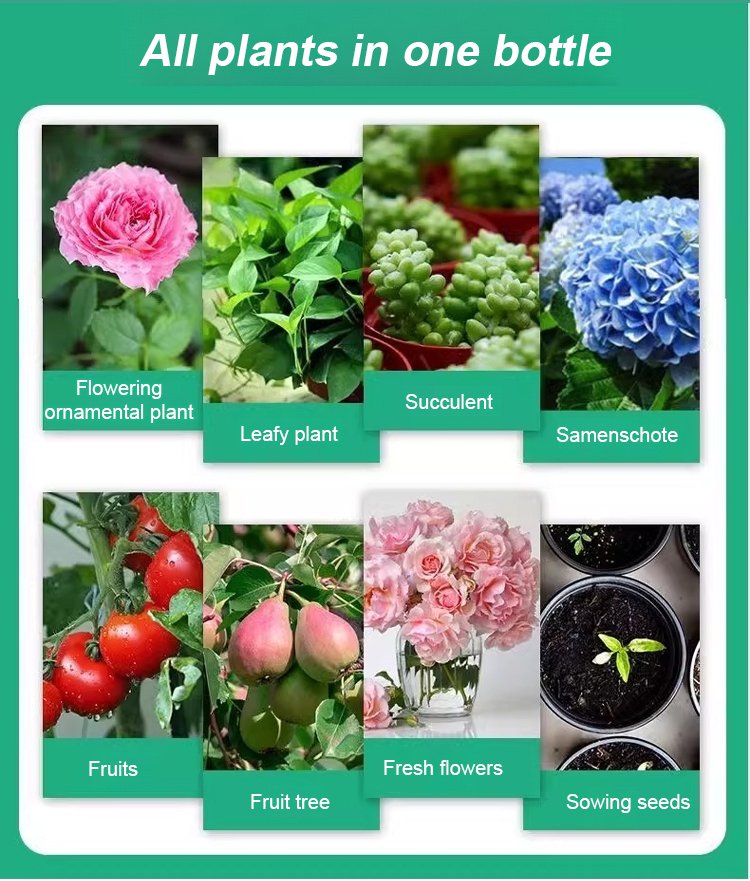 Plant & Flower Activator Root Strengthening Bloom Boost