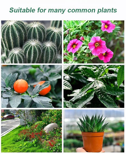 Plant & Flower Activator Root Strengthening Bloom Boost