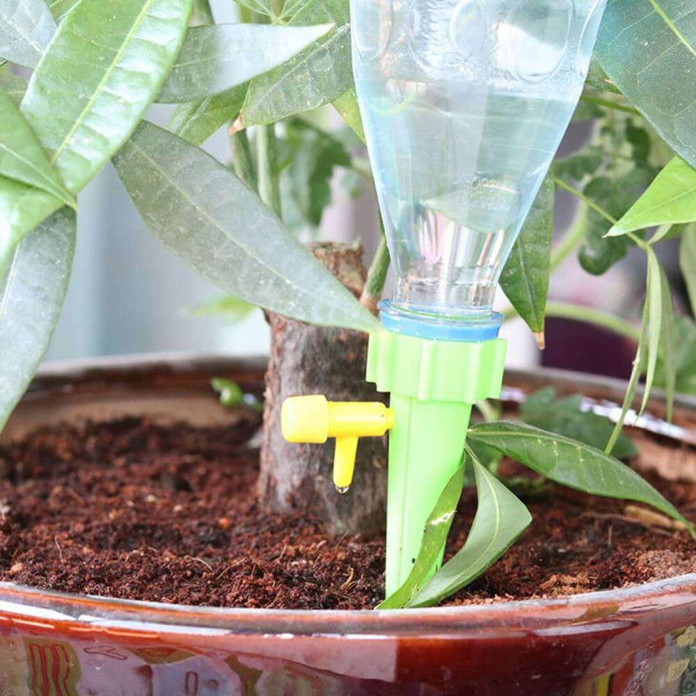 Plant Watering Spikes Adjustable Drip Valve Set of 6