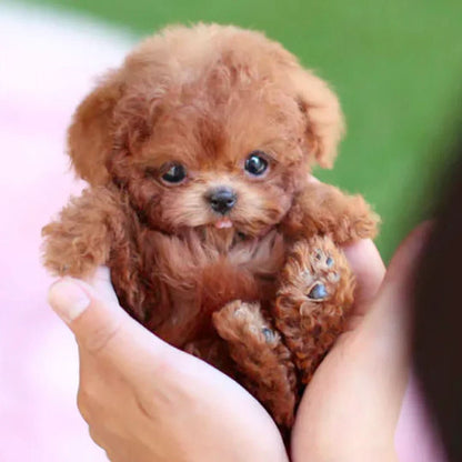 Plush Toy Touch-Activated Sounds & Movement