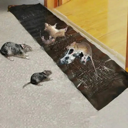 Rat Glue Trap Extra-Strong Adhesive Non-Toxic & Pet-Safe