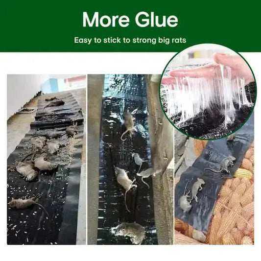 Rat Glue Trap Extra-Strong Adhesive Non-Toxic & Pet-Safe