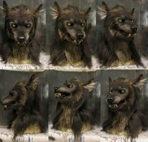 Realistic Halloween Werewolf Mask for Costume Parties