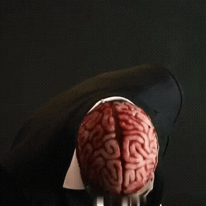 Realistic Skeleton Halloween Mask for Adults with Brains