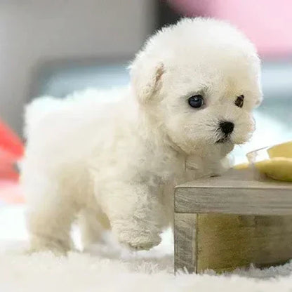 Robotic Plush Dog Walking & Barking Interactive Toy