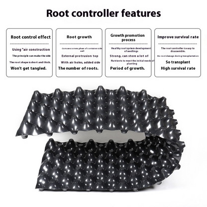 Root Guidance System Anti-Circling & Weather-Resistant Plastic