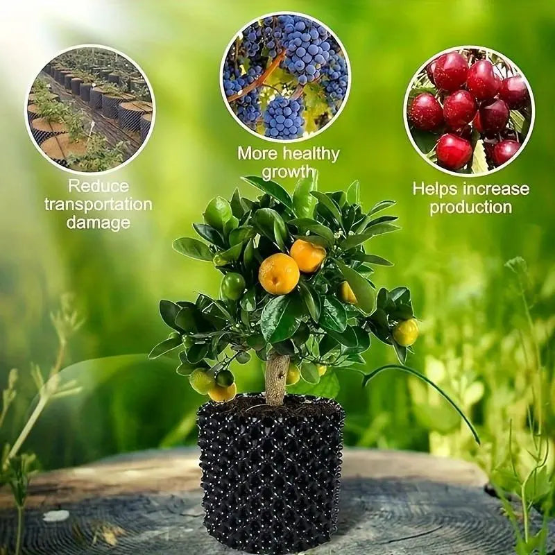 Root Guidance System Anti-Circling & Weather-Resistant Plastic