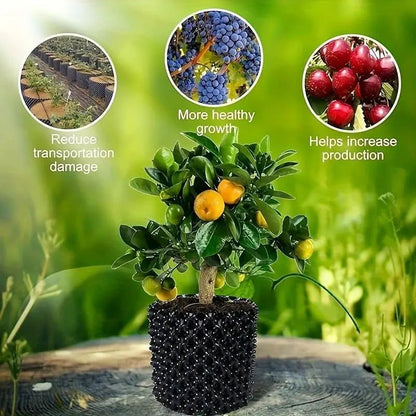 Root Guidance System Anti-Circling & Weather-Resistant Plastic