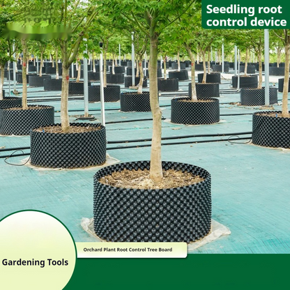Root Guidance System Anti-Circling & Weather-Resistant Plastic