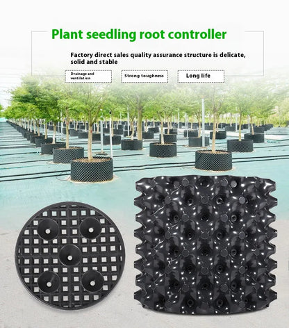 Root Guidance System Anti-Circling & Weather-Resistant Plastic