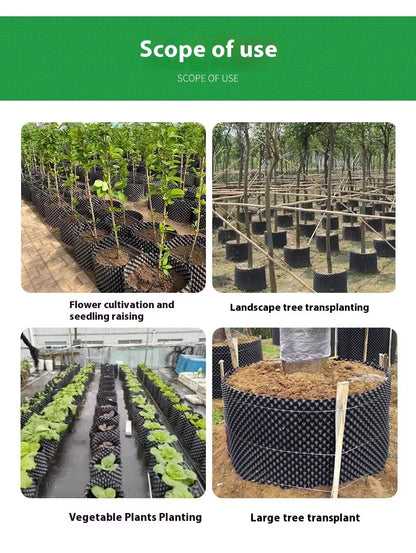 Root Guidance System Anti-Circling & Weather-Resistant Plastic