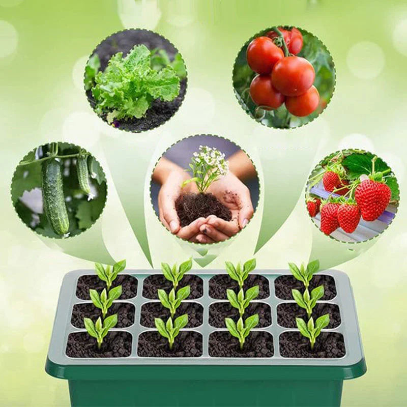 Seedling Station Full Spectrum LED Humidity Control