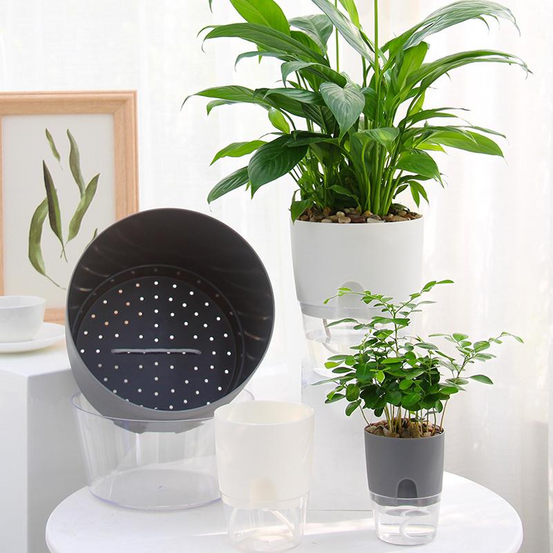 Self-Watering Flower Pot Integrated Cotton Wick Transparent Reservoir