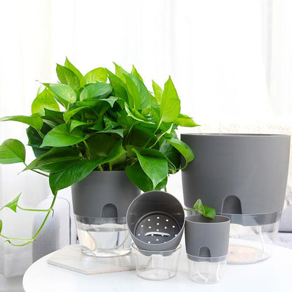 Self-Watering Flower Pot Integrated Cotton Wick Transparent Reservoir