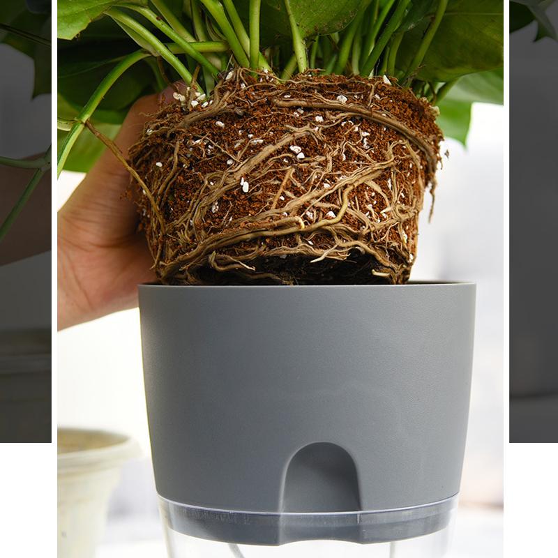 Self-Watering Flower Pot Integrated Cotton Wick Transparent Reservoir