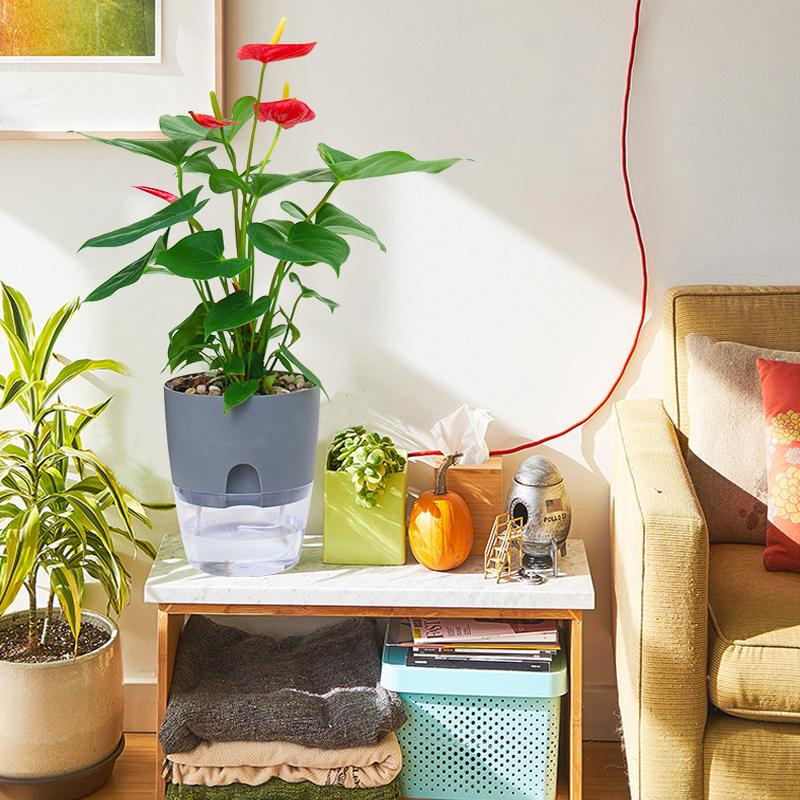 Self-Watering Flower Pot Integrated Cotton Wick Transparent Reservoir