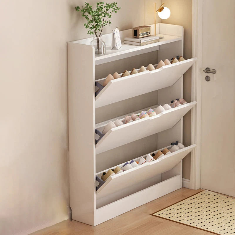 Shoe Storage Cabinet Slim Concealed Tiered Storage