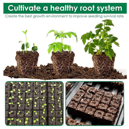Soil Block Maker Stainless Steel Adjustable Block Sizes