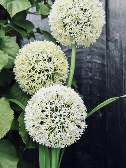 Solar Garden Stake Flexible 3 Flower Spheres