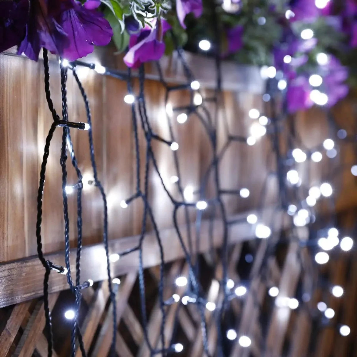 Solar String Lights Solar-Powered 8 Lighting Modes IP65 Weather-Resistant