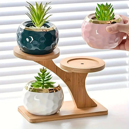 Tabletop Plant Stand Two-Tier Bamboo Recessed Holders