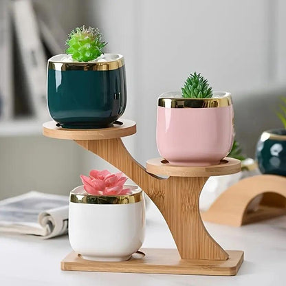 Tabletop Plant Stand Two-Tier Bamboo Recessed Holders