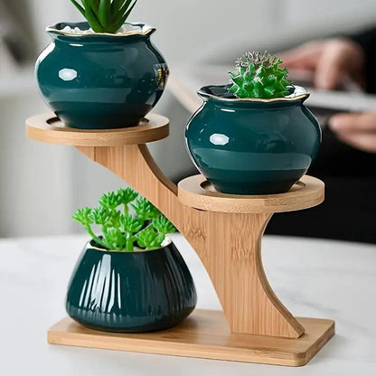 Tabletop Plant Stand Two-Tier Bamboo Recessed Holders
