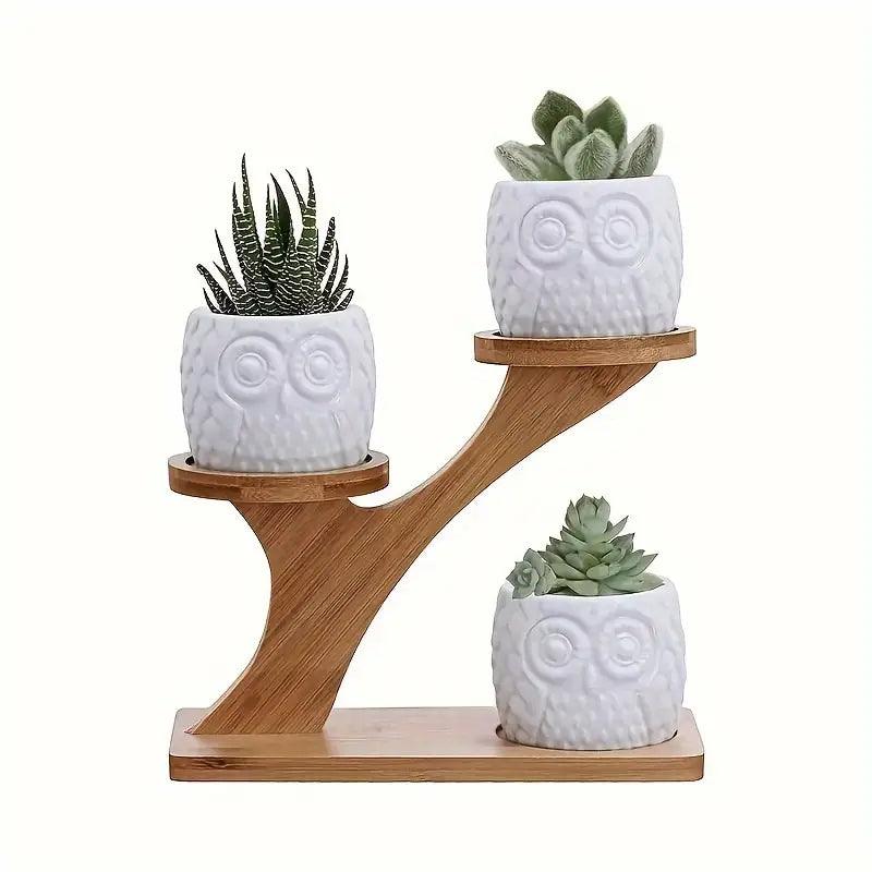Tabletop Plant Stand Two-Tier Bamboo Recessed Holders