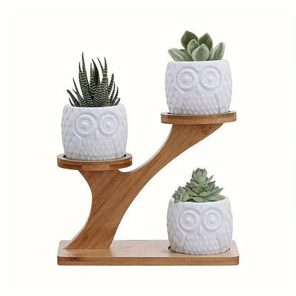 Tabletop Plant Stand Two-Tier Bamboo Recessed Holders