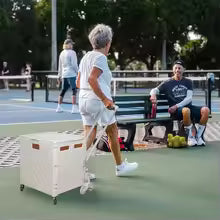 Transport Cart Foldable With Stair-Climbing Wheels