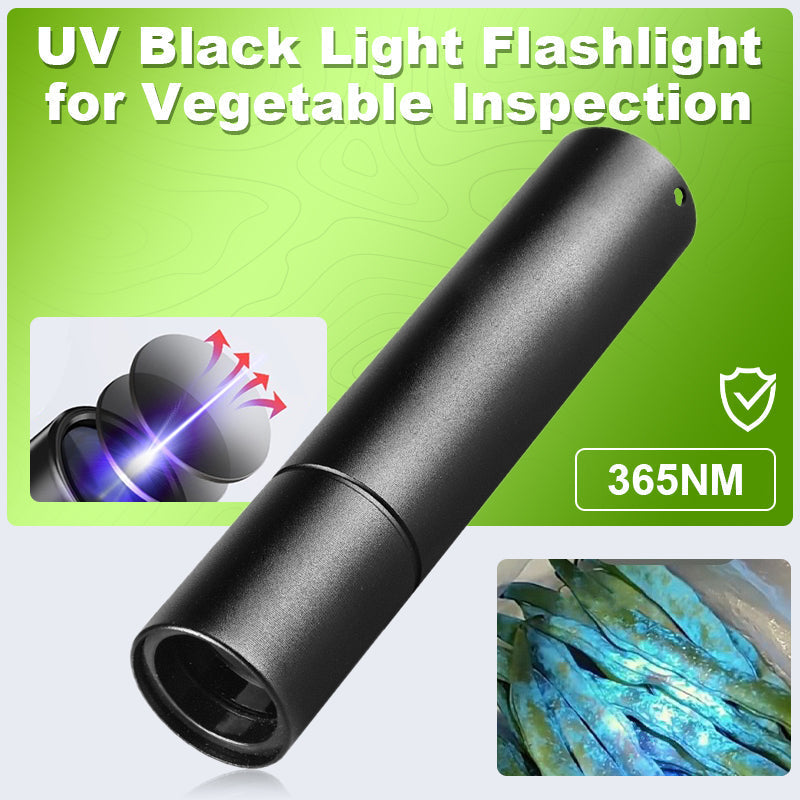 UV Flashlight 365 Nm 10W Inspection Beam