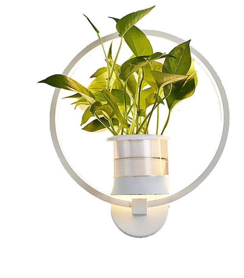 Wall Lamp Botanical Plant Holder Glare-Free Light