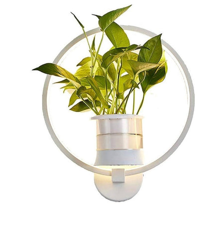 Wall Lamp Botanical Plant Holder Glare-Free Light